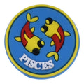 PISCES round badge sign logo Astrology, Horoscope 42-17 Shoe Charm