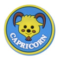 CAPRICORN round badge sign logo Astrology, Horoscope 42-24 Shoe Charm