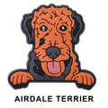 Airdale Terrier Dog P12644 Shoe Charm