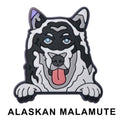 Alaskan Malamute Dog P12646 Shoe Charm