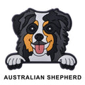 Austria Shepherd Dog P12649 Shoe Charm