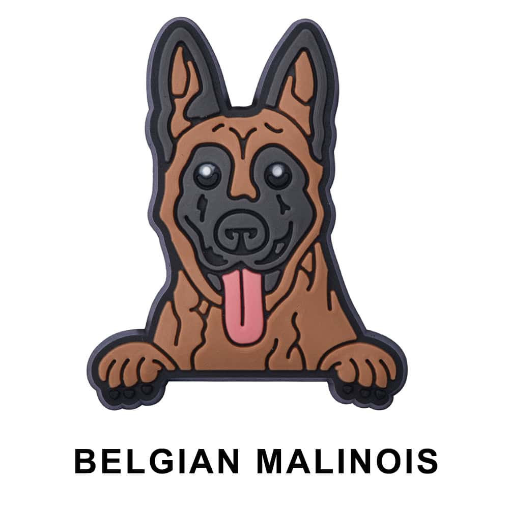 Belgian Malinos Dog P12652 Shoe Charm