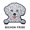 Bichon Frise Dog P12654 Shoe Charm