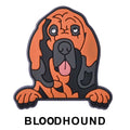 Bloodhound Dog P12655 Shoe Charm