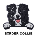 Border Collie Dog P12658 Shoe Charm