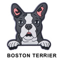 Boston Terrier Dog P12659 Shoe Charm