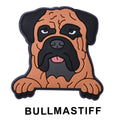 Bull Mastif Dog P12663 Shoe Charm