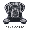 Cane Corso Dog P12665 Shoe Charm