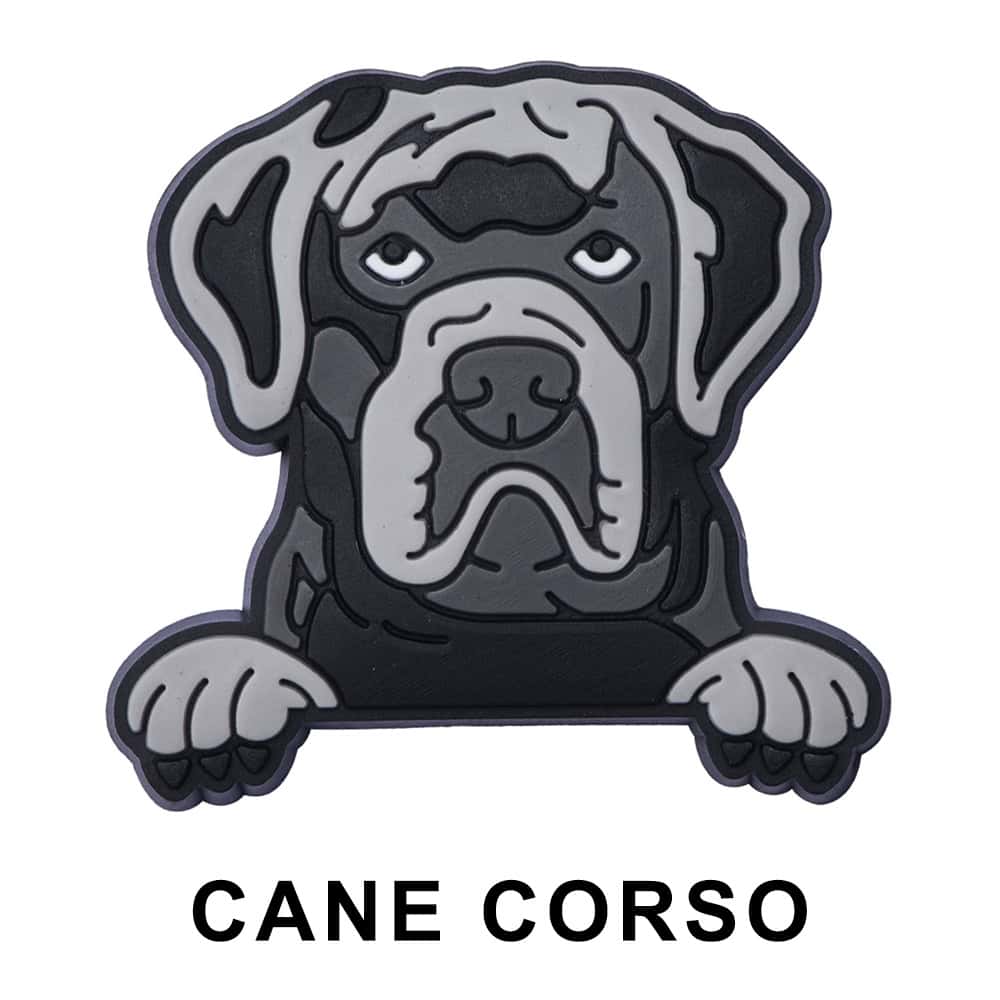 Cane Corso Dog P12665 Shoe Charm