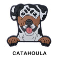 Catahoula Dog P12666 Shoe Charm
