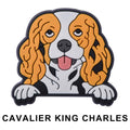 Cavalier King Charles Dog P12667 Shoe Charm