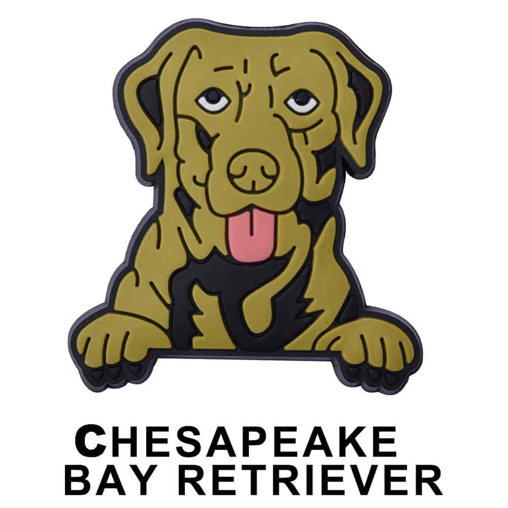 Chesapeake Bay Retriever Dog P12669 Shoe Charm