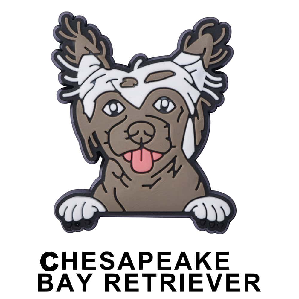 Chesapeake Bay Retriver Dog P12670 Shoe Charm