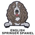 English Springer Spaniel Dog P12677 Shoe Charm