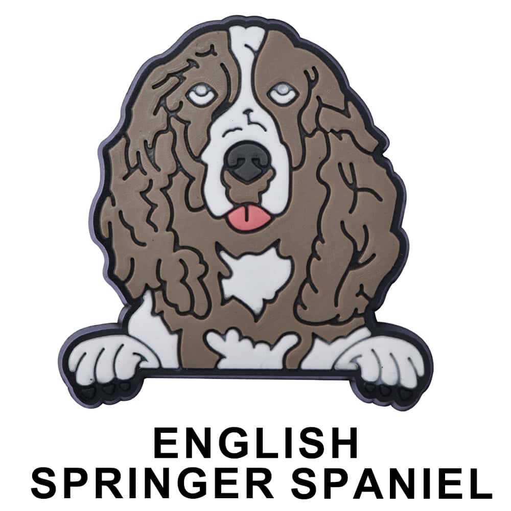 English Springer Spaniel Dog P12677 Shoe Charm