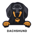 Dachhund Dog P12678 Shoe Charm