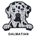 Dalmatian Dog P12679 Shoe Charm