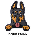 Doberman Dog P12680 Shoe Charm