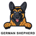 German Shepherd Dog P12683 Shoe Charm