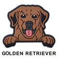 Golden Retriever Dog P12685 Shoe Charm