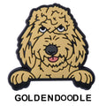 Golden Doodle Dog P12686 Shoe Charm