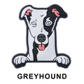 Greyhound Dog P12687 Shoe Charm
