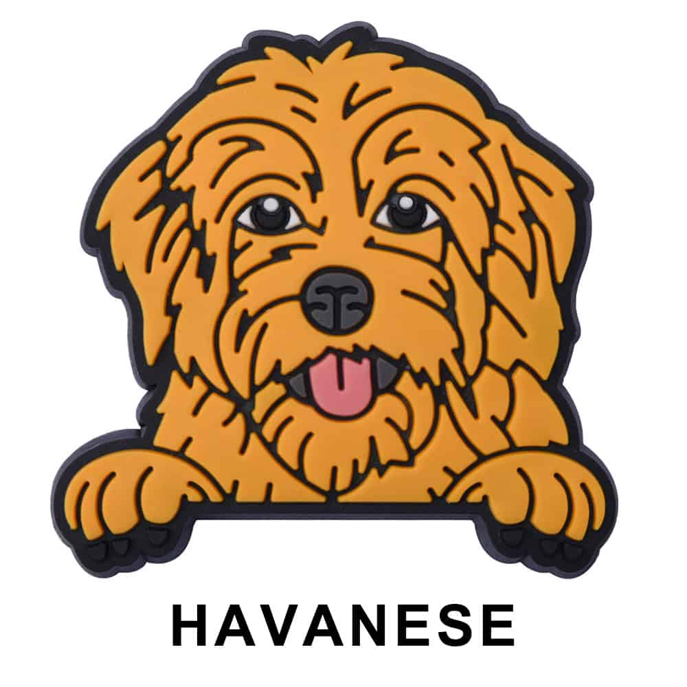 Havanese Dog P12689 Shoe Charm