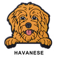 Havanese Dog P12689 Shoe Charm