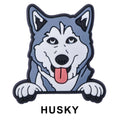 Huskey Dog P12690 Shoe Charm