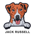 Jack RussellDog P12692 Shoe Charm