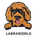 Labradoodle Dog P12694 Shoe Charm