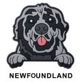Newfoundland Dog P12699 Shoe Charm