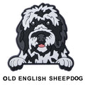 Old English Sheepdog Dog P12700 Shoe Charm
