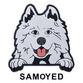 Samoyed Dog P12710 Shoe Charm