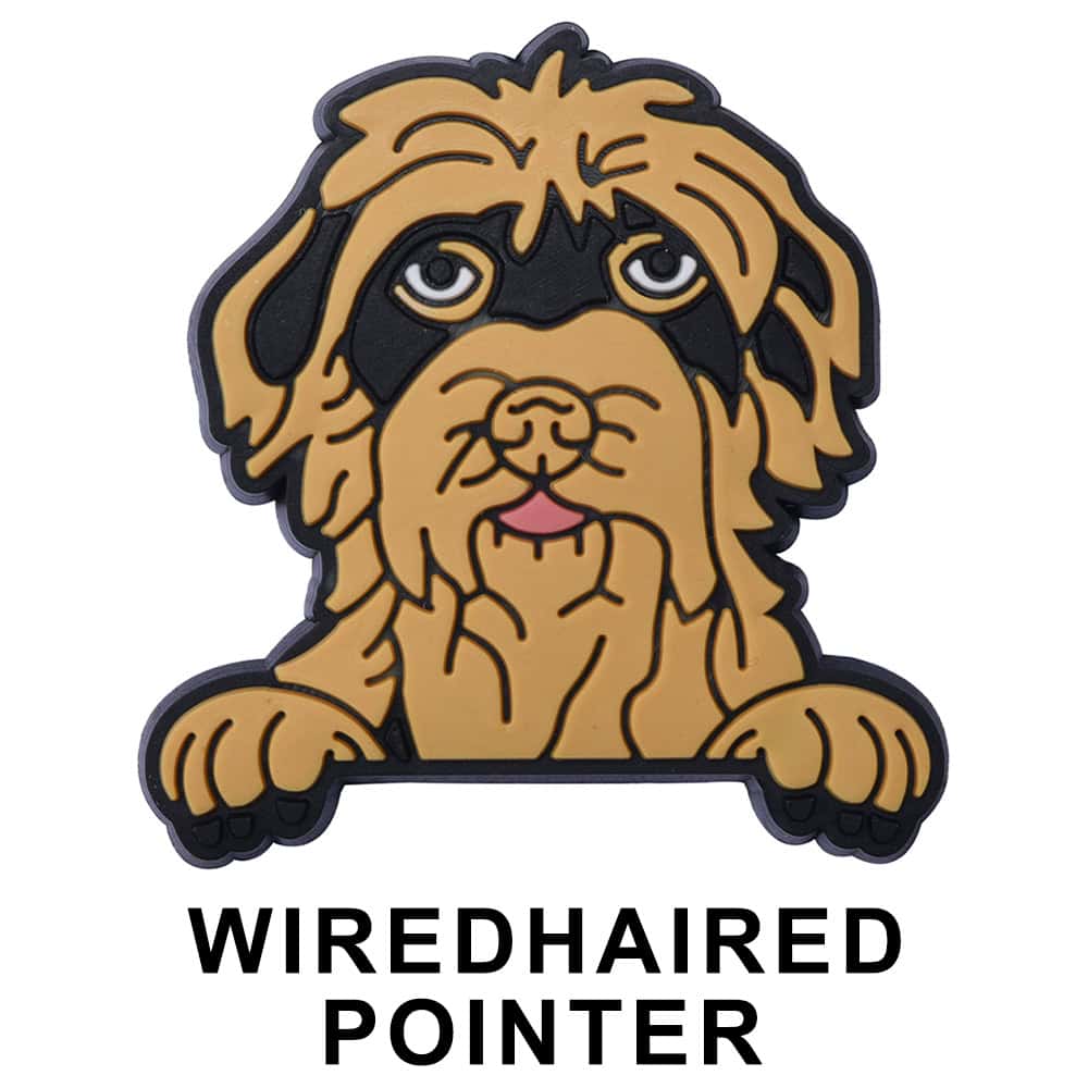 Wiredhaired Pointer Dog P12719 Shoe Charm
