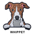 Whippet Dog P12720 Shoe Charm