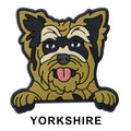 Yorkshire  Terrier Dog P12722 Shoe Charm