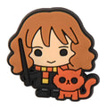 Hermione Grainger From Harry Potter P6893 Shoe Charm