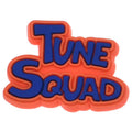 Tune Squad sign Space Jam 102-141 - Shoe Charm