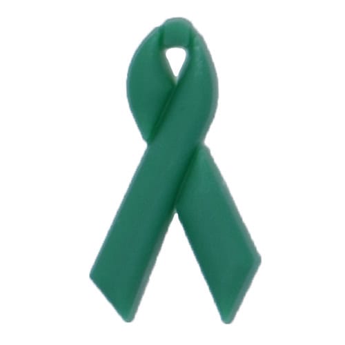 Liver Cancer emerald Awareness Ribbon 24-01 Shoe Charm